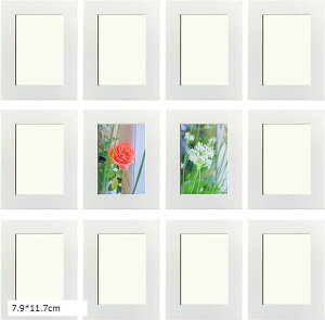 Wp tHgt[ 12Zbg A[gt[ Ǌ|  y  CeA Vv ʐ^  z یtB Ǌ|pSV[gt (7.9x11.7cm)