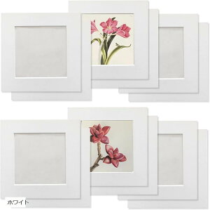 y[p[tHgt[ Wp ʐ^t[ 12Zbg 8.8x8.8cm  A[gt[ یtB + Ǌ|pSV[g t CeA Vv ʐ^ (zCg)