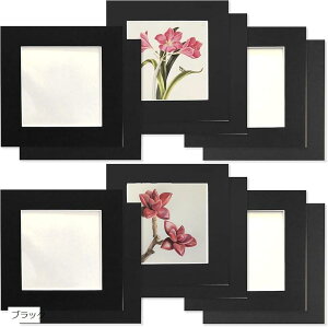 y[p[tHgt[ Wp ʐ^t[ 12Zbg 8.8x8.8cm  A[gt[ یtB + Ǌ|pSV[g t CeA Vv ʐ^ (ubN)