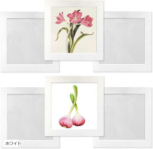 y[p[tHgt[ Wp 6Zbg 18x18cm A[gt[ یtB + Ǌ|pSV[g t y  CeA Vv ʐ^ z (zCg)