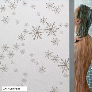 ptB ډBV[g KXtB vCoV[ی tB Iy KXUh~V[g fMtB UVJbg \蒼\ (XH, 40cmx5m)