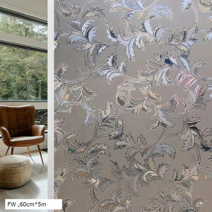 ptB ډBV[g KXtB vCoV[ی tB Iy KXUh~V[g fMtB UVJbg \蒼\ (FW, 60cmx5m)