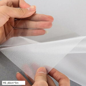 ptB ډBV[g KXtB vCoV[ی tB Iy KXUh~V[g fMtB UVJbg \蒼\ (MS, 60cmx5m)