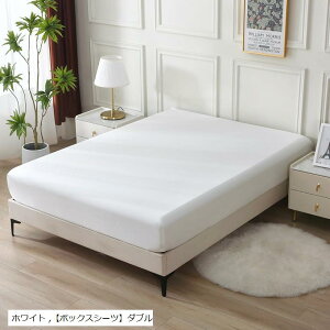 {bNXV[c I[XgA100% zedl Te  (zCg, u{bNXV[cv_u)