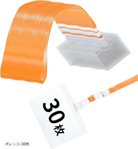 l[z_[ DP[X Dz_[ 񉺂 | Nbv Xgbv vX`bN NA (IW-30)