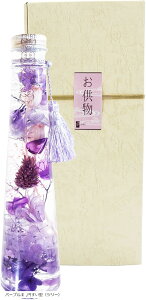  n[oE NAO͂Ȃ vU[uht[ { CeA (p[vII, ~^ic[j)