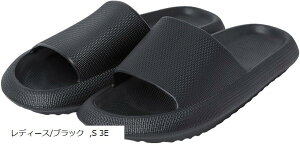 Xbp Y fB[X T_ [V[Y oX gC   y ~ É(fB[X/ubN, S 3E)