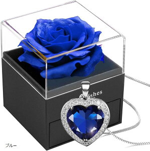 G^[iE[Y`F[ Vo[925 a΃lbNX u[CtBjeB[Y{bNX \[vt[ a΃y_g Tt@CAu[ Mtg {bNXt NX^ n[