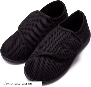  Xbp ChA V[Y  Xb| @ nr Vv jp C(ubN, 24.0`24.5 cm)