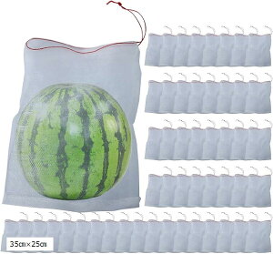 yyVLO1ʓ܁zʕی ʕیobO ʎh ʎ Q bVobO lbg   悯 h ʋC В 50Zbg 35cmx25cm(zCg, 35cmx25cm)