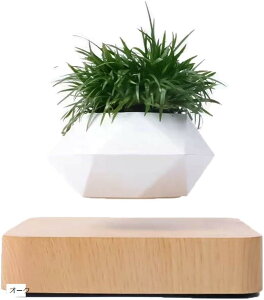 yyVLO1ʓ܁zɕ~ v^[ ϗtA C A  Ebh ؖ CeA I[N (I[N, )