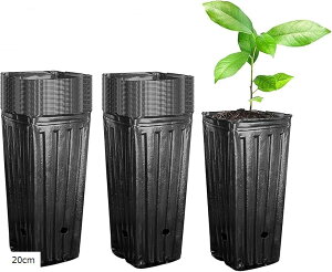 yyVLO1ʓ܁zc|bg c|bg [^ O|bg rj[ c؃v^[ (ubN, 20cm)