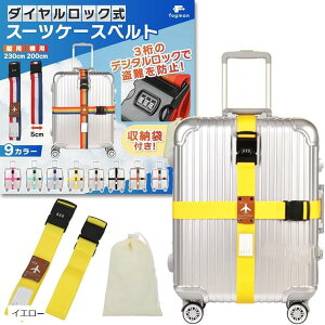 X[cP[Xxg t bN \ 3_C [ܕt 2{Zbg CG[ (CG[, TCY)