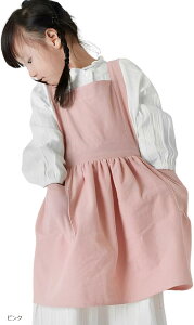 Gv q w qpGv LbY n j̎q ̎q wZ sN (sN)