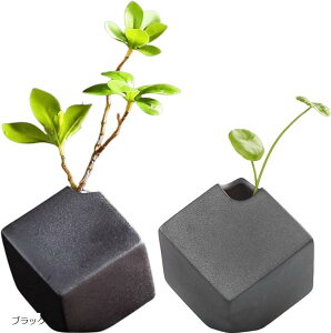 ֑} ԕr~j Ԋ t[x[X  fUC KXԕr IV CeA ؓ t[AWg ubN (ubN, Medium)