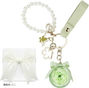 ~j^ vU[uht[ L[z_[ ͂Ȃ  킢~j 蕨 a ̓ ޏ  j lC LO ЂȍՂ ސEj zj w  hV̓ o Mt