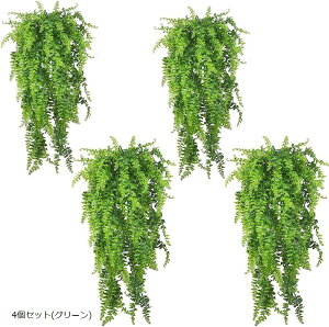 tFNO[ CeA ϗtAtFCN ^ ݂艺  CeAG V_ ͂Ȃ  EH[O[ 4 (4Zbg(O[))