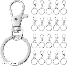 キーホルダー キーリング ナスカン アクセサリ 金属 かわいい 20個セット 30mm シルバー (シルバー, 30mm)
