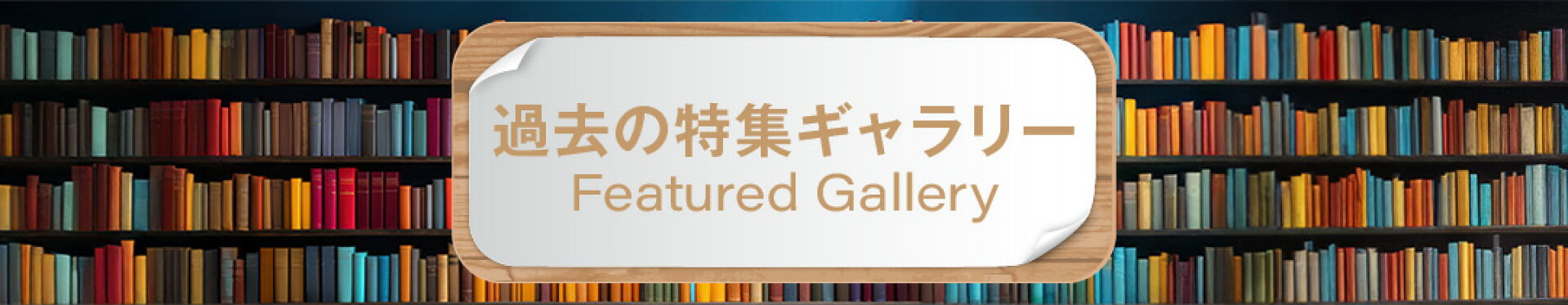 過去の特集