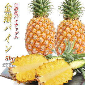 パイナップル 台湾産 金鑽パイン 約5kg 3玉〜5玉 完熟パイナップル 台湾パイン 糖度約18度 次回6月末頃入荷、7月初旬出荷予定分