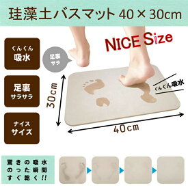 【あす楽対応】 珪藻土 バスマット 40×30cm コンパクトサイズ 吸水 洗濯不要 消臭 清潔感を保つ 4562351041393