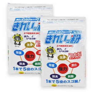 【大人気】【2個セット あす楽対応】 多用途洗剤 過炭酸ナトリウム 酸素系 洗浄剤 きれいッ粉 1kg 2袋 詰め替え用 457131361017 大掃除 クリーナー クリーニング ピカピカ お風呂 床 キッチン ト