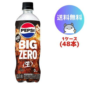 Tg[ yvV BIG[ 600ml48{(2P[X)