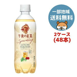 L ߌ̍g Sparkling C`XJbV 500ml 48{(2P[X)