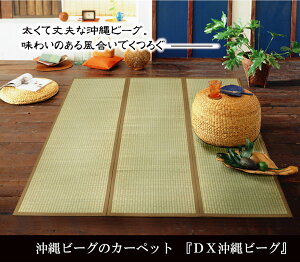 Y r[ÕO wDXr[Ox 130×200cmi:sDzj(s)yz