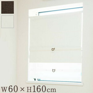 R[hX[}VF[h Ռ W60×H160cm JtFJ[e X^CJ[e  ډB(s)yz
