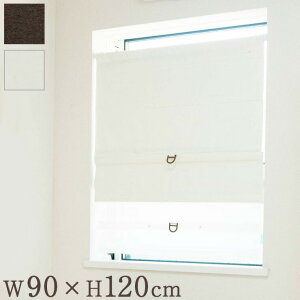 R[hX[}VF[h Ռ W90×H120cm JtFJ[e X^CJ[e  ډB(s)yz