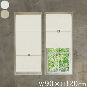 R[hX[}VF[h Ռ W90×H120cm JtFJ[e X^CJ[e  ډB(s)yz