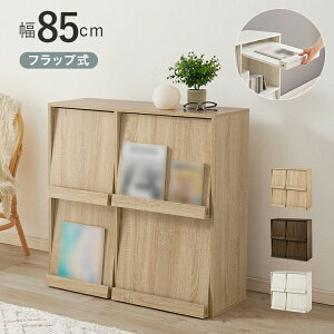 tbv fBXvCbN 85 [×B[ {I VFt }KWbN A4  t@C CD DVD [ bN JE^[[ X k (s)yz