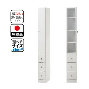 2.5cmPʂŕIׂ Ԏ[ Ԏ[ /o^Cv 22.5 s40 180 Ƌ Y i Lb`[(s)yz