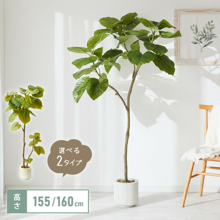 楽天市場】人工観葉植物 ウンベラータ 一本 フェイクグリーン 大型 