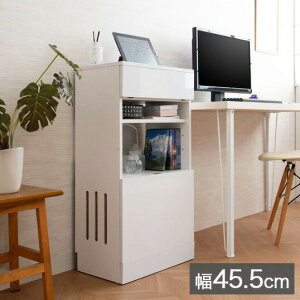 ؖڒ [^[ [ {bNX zCg  45.5 RpNg X  Vv AeB[N WiFi[ t@bNX(s)yz