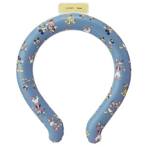 XP[^[ O L lbNN[[ ⊴ MǗ\h ΍ Ђ MK&tY23 Skater NCL2