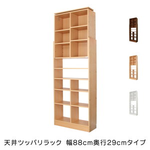 { V cbp bN 88cm s29cm Y [ ς ς[ [bN ς胉bN(s)yz