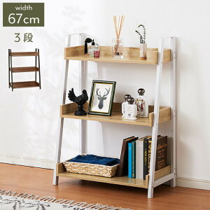 bNI 67cm 3i X`[ ACA  rO  VbN k V zCg ubN }[L[3i(s)yz