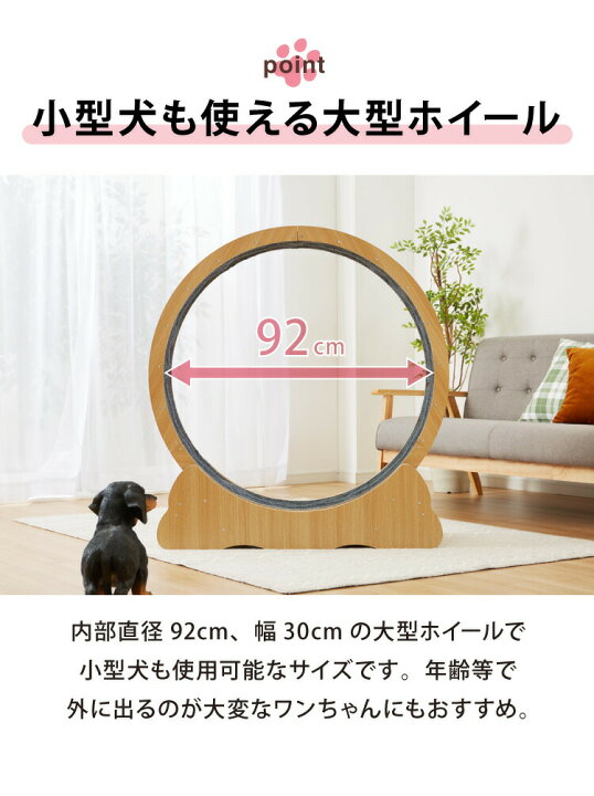 楽天市場】猫用 キャットホイール 大型 直径100cm ストッパー付き小型 
