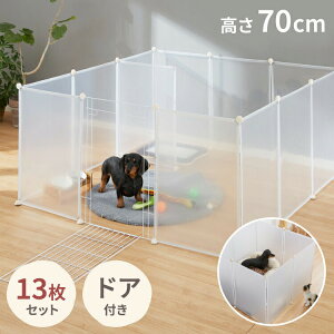 ybgtFX   u 50×70cm hAt hdl ~ gȒP RpNg WCg ybgT[N ybgP[W ybgtFX  hbNP[W  L ybgp