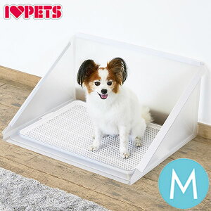 {rAR ybg[NAbV&vXN[ M Zbg ChTCỸV[cΉ pgC юUh~ Uh~  K[h ^p  {ryz