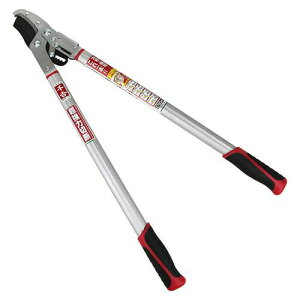 g `Fbgؑ֎} SGFL-9yz