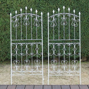 ACA[YtFX150 [^Cv 4g tFX Ⴂ ׂ AeB[N K[f K[fjO  k 뉀(s)yz