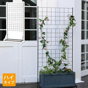 v^[ttFX(nC^Cv)uOtv IF-GR019 tFX ACA K[ftFX K[fjO g  d؂ iq NVJ AeB[N gX IuWF(s)y