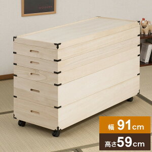 LX^[tˈߑ 5i 59cm t ˃P[X ߑP[X  N[[bg ˂ ۊǌ ۊǃP[X  ߗގ[ m (s)yz