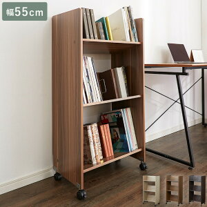 t@CS t@CbN LX^[t 3i 55cm s35cm A4 ΂ t@C[ t@C{bNX 111cmyz