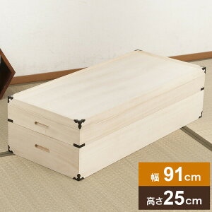  ߑ 2i 91 25cm t ˃P[X ߑP[X  N[[bg ˂ ۊǌ  ߗގ[ m  [(s)yz