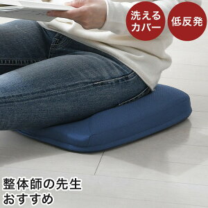 pNbV Y 36×40cm ̎t߂ ᔽE^tH[ T|[g Ո OX` 􂦂Jo[   zc(s)yz