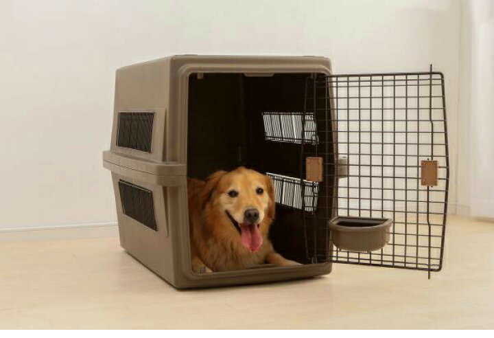 楽天市場】犬 キャリー コンテナ ハード エアトラベルキャリー ATC-870 